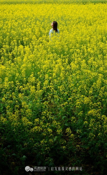 山灵水韵，德才兼备，了不起的安庆*光春**