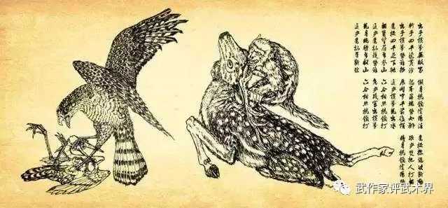 太极拳内家拳基本功,传统武术练力量功法