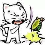 还有什么话好说。小伙伴送的面膜，害我一秒变猪头