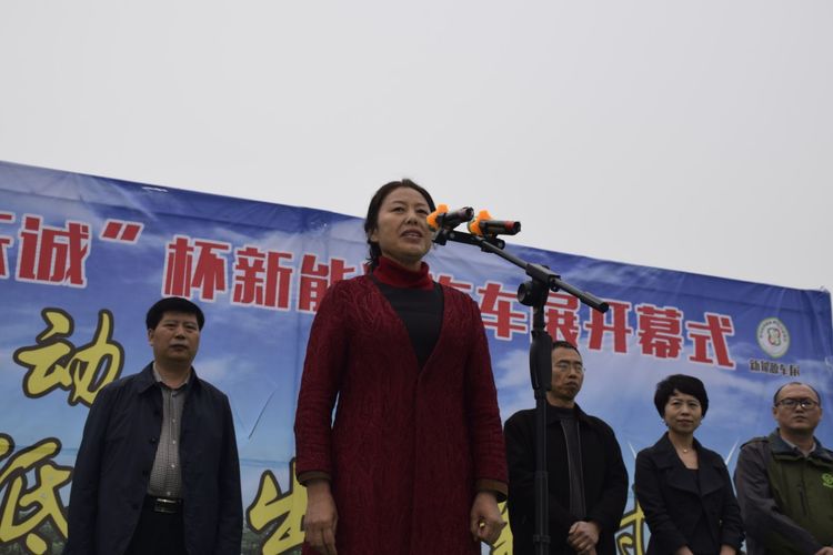 驻马店新能源汽车展,驻马店新能源汽车展示会