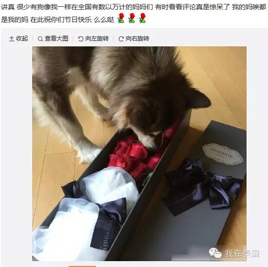 王思聪自曝女友为其堕胎又火了,但外媒只关心老公最宠的那个网红