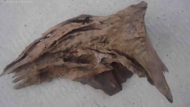 千年阴沉木的价值是多少钱,阴沉木市场价格预测