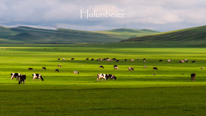 呼伦贝尔拍照攻略,呼伦贝尔美景拍照