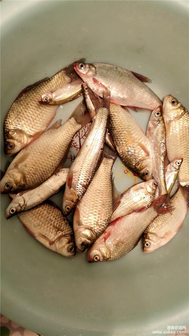 端午小长假休息安排,端午小假期安排