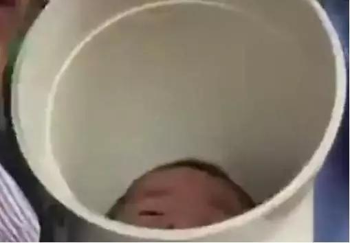 为了吃某龙，我不惜用上了某应龙