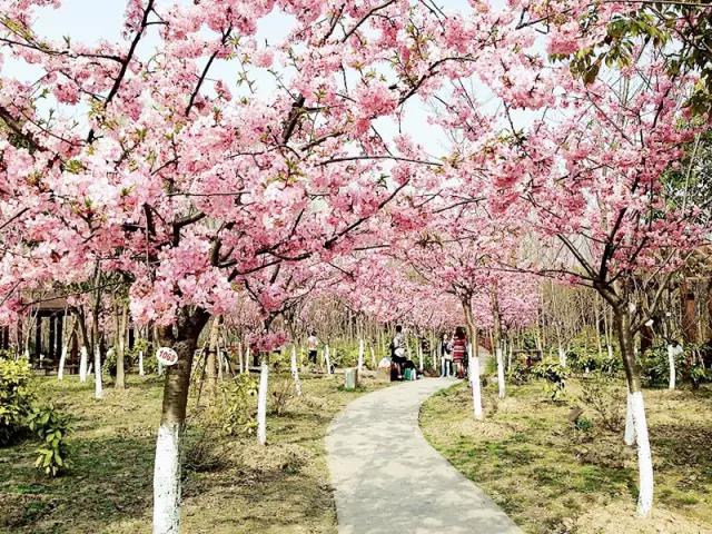 上海地铁沿线好玩的地方,上海18号线沿线景点