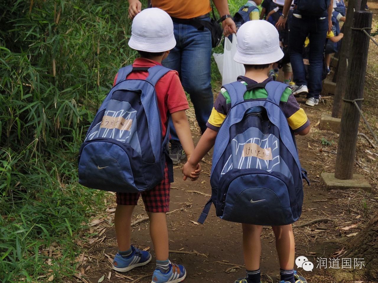 风之谷幼儿园教育特色,风之谷幼儿园青海
