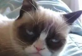 欧洲杯兼职,欧洲杯有什么项目可以做