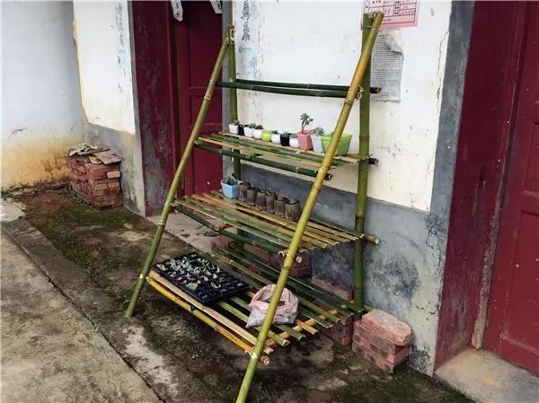 自制月季花架竹子,自制竹子蔷薇花架