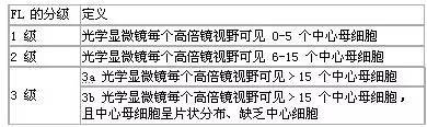 恶性淋巴瘤护理常规参考文献,恶性淋巴瘤化疗搭配中药