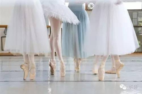 焦糖色欧根纱,欧根纱小众