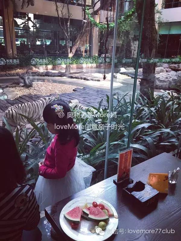 一日游广州长隆野生动物园攻略,广州长隆野生动物园自由行攻略