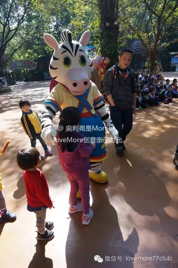 一日游广州长隆野生动物园攻略,广州长隆野生动物园自由行攻略