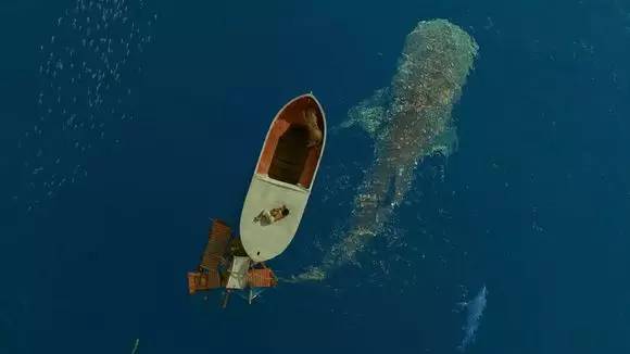 顶级逼真3d视频,史上最逼真3d动画