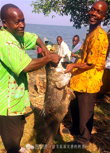 肯尼亚部落视频,肯尼亚部落舞蹈