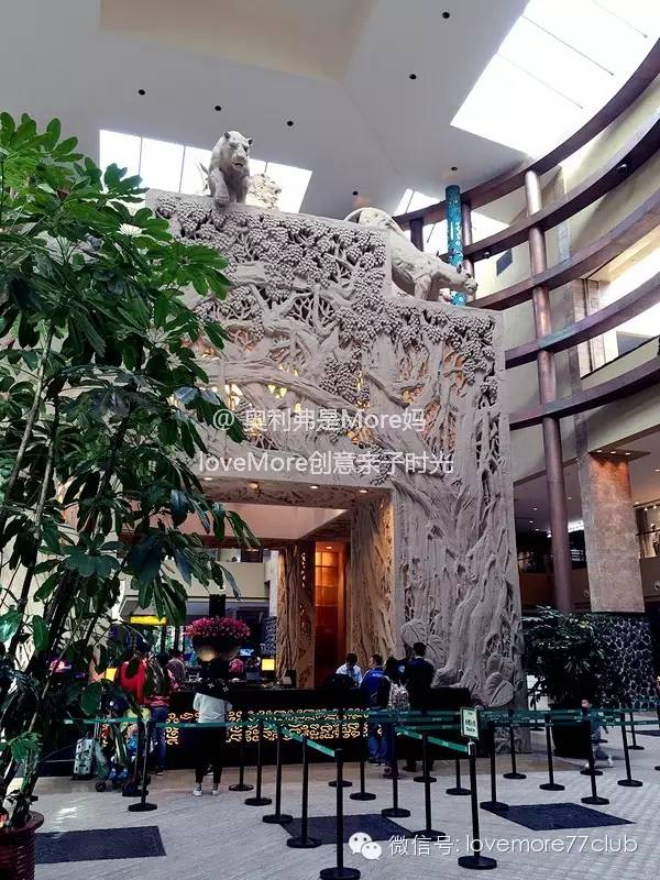 一日游广州长隆野生动物园攻略,广州长隆野生动物园自由行攻略