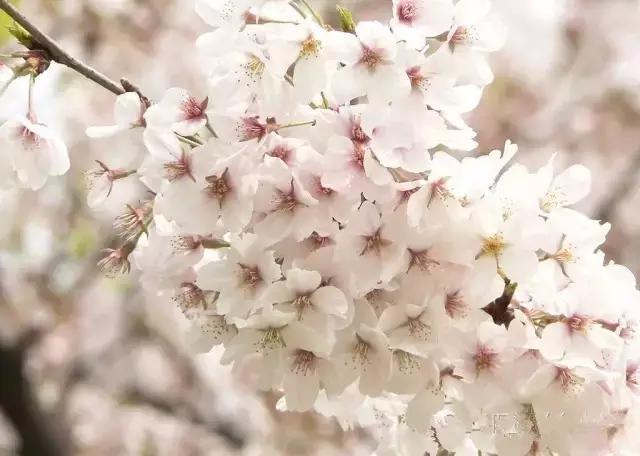 海口一座不需要滤镜的城市,海口一线海景
