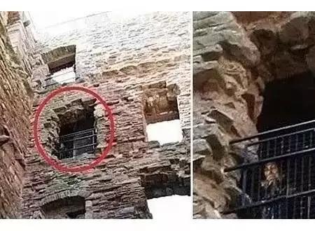 无法解释的诡异现象事件,科学也无法解释的诡异事件