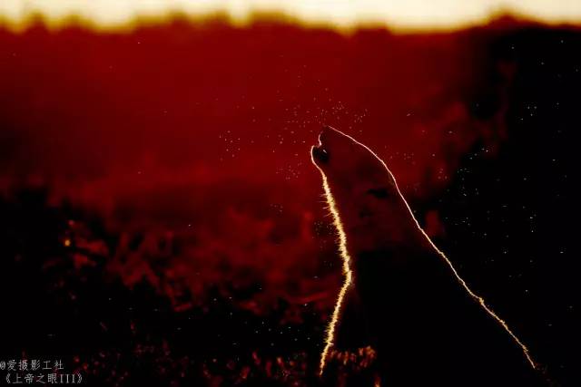 赵嘉摄影作品,赵嘉摄影