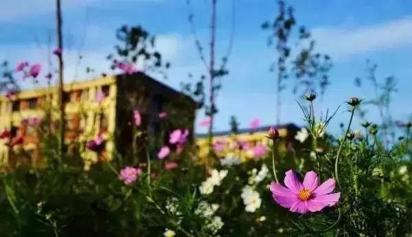 我在云南大学普普通通的一天,云南大学一年四季