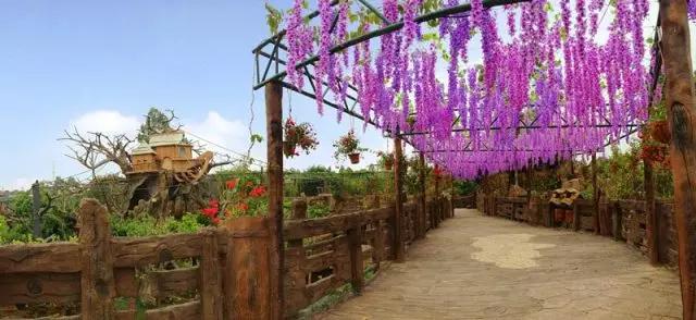 顺德长鹿农庄怎么样,中山长鹿农庄在哪里