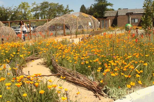 美国印第安纳州波利斯儿童博物馆,加利福尼亚奥克兰博物馆