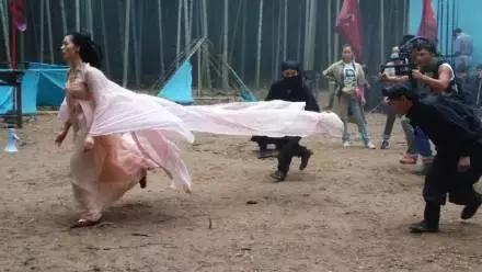 太子妃红的原因就是——相逢一炮泯恩仇