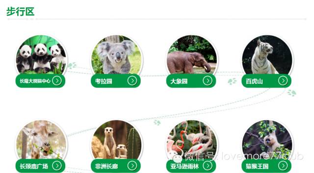 一日游广州长隆野生动物园攻略,广州长隆野生动物园自由行攻略