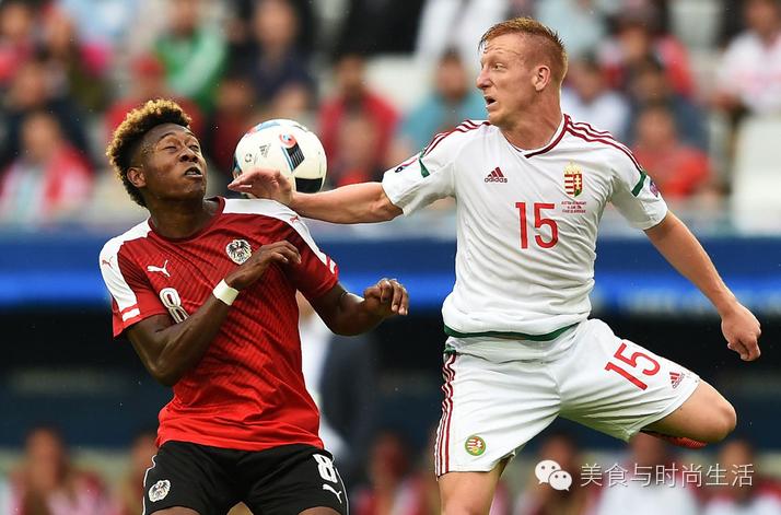 葡萄牙平西班牙,葡萄牙平瑞士