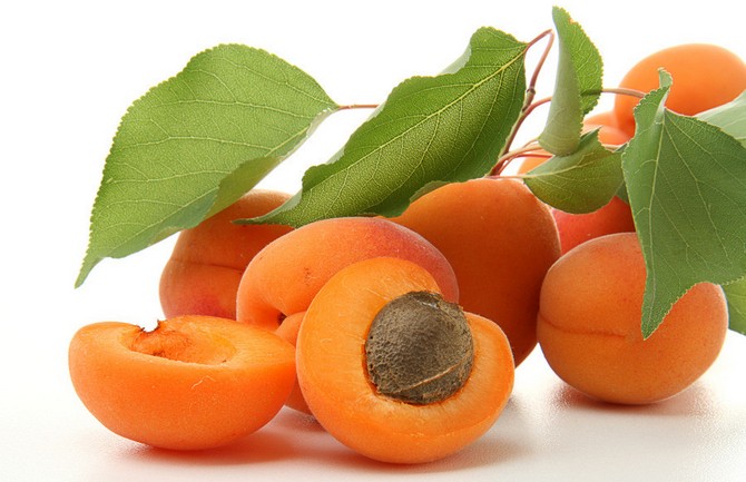 孕中篇｜焦点关注——孕期禁忌食物黑名单