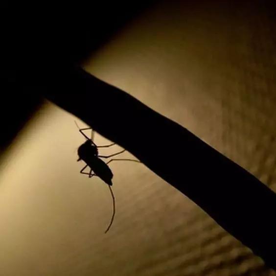 放开我的小鲜肉！让TA过一个“不痛不痒”的夏天