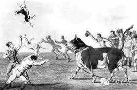 厉害的狗和狮子pk哪个更强,趣说动物小狗