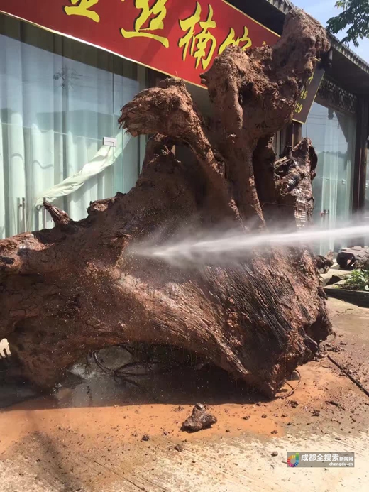 金丝楠木的销量,金丝楠木销量