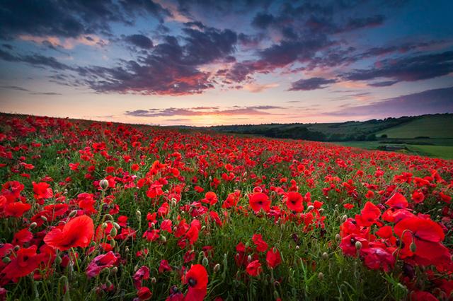 海南医保定点医院有哪些,海南医疗保险定点医院信息一览