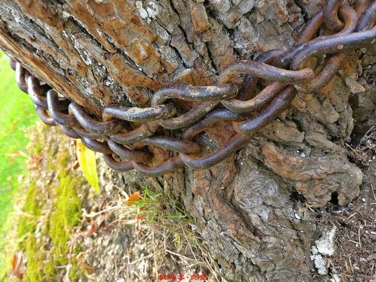 一加3实用功能,一加3手机用后体验