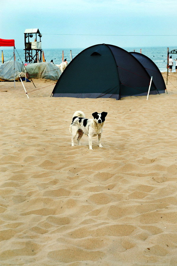 乐亭老照片：2009年的乐亭浅水湾、三岛