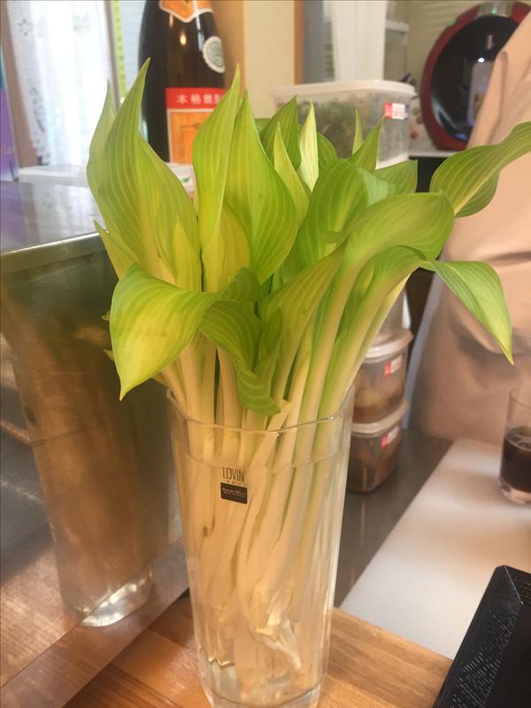 吃货探店打卡视频,日本十大美食小店