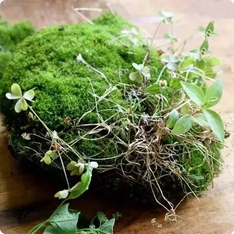 正愁多余的瓶子没地儿放，这下全解决了