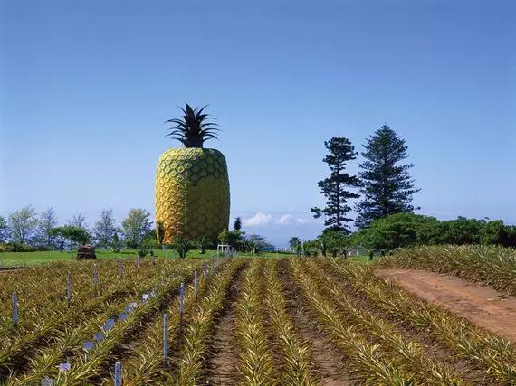 世界上最奇特的十大地方,世界十大奇特的景点