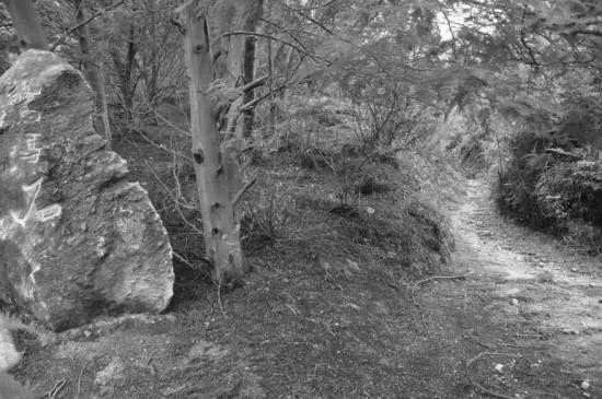 真实的百慕大之谜,百慕大神秘事件真相