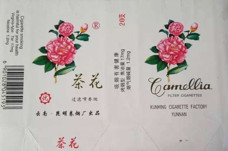 白金龙与阿诗玛,白金龙凤锦鲤生鱼宝宝