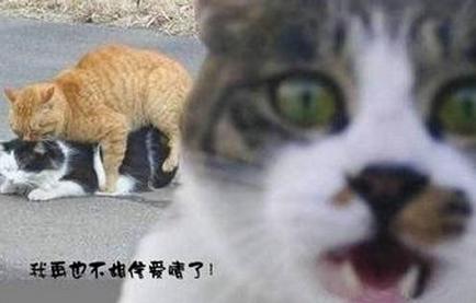 当中年大妈发生冲突时，请放起那熟悉的旋律，让我们一起舞起来！