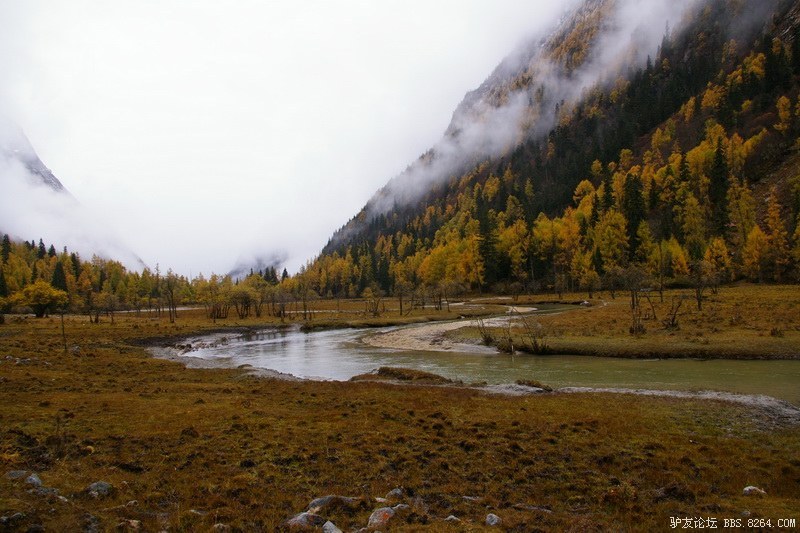 古道，细雨，暮雪-我的长坪沟半截秋色之旅