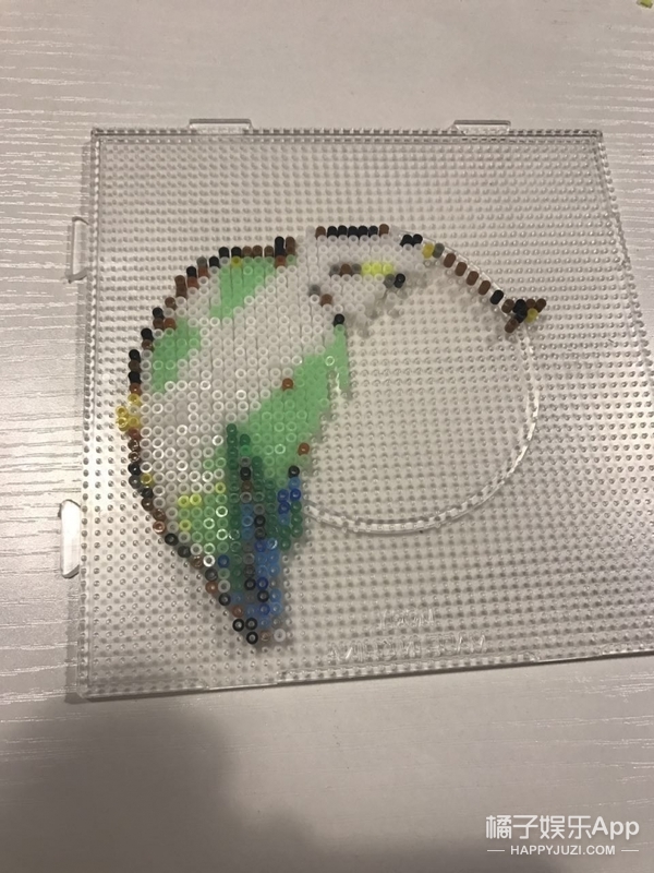 这场益智之旅橘子君败给了“拼豆”