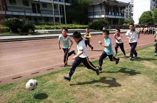 请鉴定：这是不是一片树叶/请投稿：二千奖金可能就是你的,更多