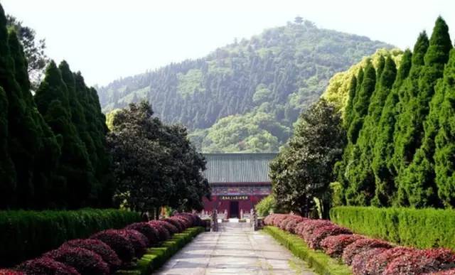 武汉光谷观光,武汉光谷值得去吗