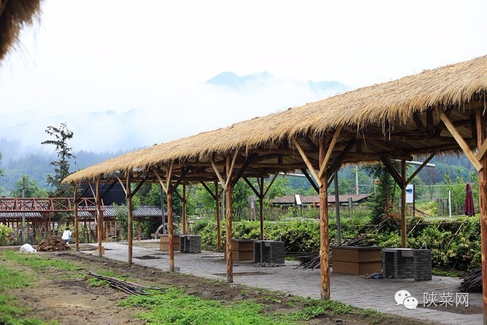 陕菜探秘团南山寨,陕菜探秘之旅乾县