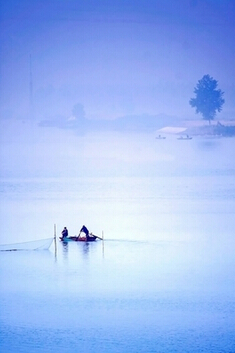 “聚变晓店”之生态我在你梦想的地方