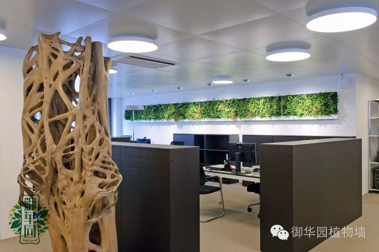 新鲜出炉┃十大唯美植物壁画排行榜,第一名竟然是......