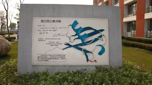 高校震撼美景,华东理工大学有什么好看的